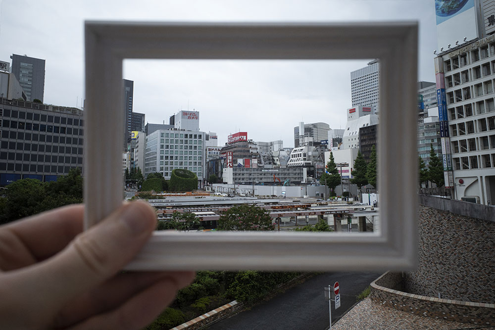Window View Enhancement Services
